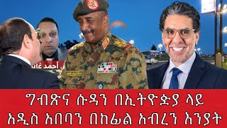 ግብጽና ሱዳን በኢትዮዽያ ላይአዲስ አበባን በከፊል አብረን እንያት