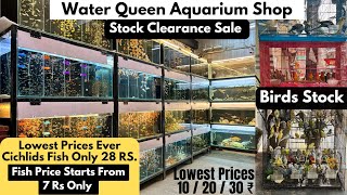 Aquarium Fishes At Lowest Prices Ever Water Queen Aquarium Shop Stock Clearance Sale Till 31 May