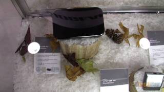 IOGEAR Wireless Ultra Wideband Technology- CES 2009