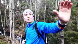 Mannequin challenge in the forest. Oslo, Norway.
