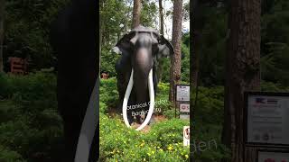 Botanical Garden Bagiuo City