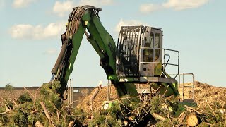 Storm Debris Disposal Sites in Beltrami Co. Running Out of Space | Lakeland News