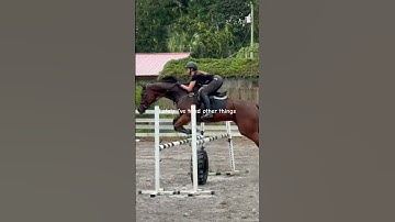 Every time I see a barrel racing or pole bending video I wanna try it again bad(Dw guys SJ for life)