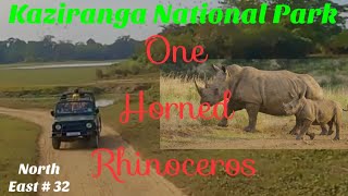 Kaziranga National Park Full Jeep Safari Experience | One Horned Rhinos Of Kaziranga | assamvlogs