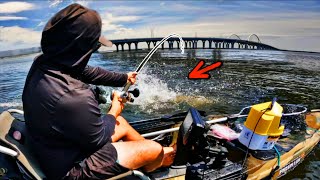 MASSIVE FISH Towed My Kayak OUT OF CONTROL! | Use THIS Bait to Catch GIANTS Around Structure!