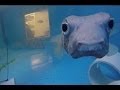 Aquarium clip 4 30 14