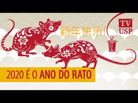Vídeo: O que significa o Ano do Rato?