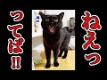 【反則】こんな甘え方、ヤバいよ…
