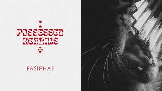Pasiphae - Possessed Realms (PNKMN40)
Taken from the Possessed Realms EP.
https://pinkman.bandcamp.com/album/possessed-realms
Instagram: https://instagram.com/pinkmanrecords/
Facebook: https://www.facebook.com/pinkmanrecords/
Soundcloud: https://soundcloud.com/pinkmanrecords Pasiphae - Possessed Realms (PNKMN40)