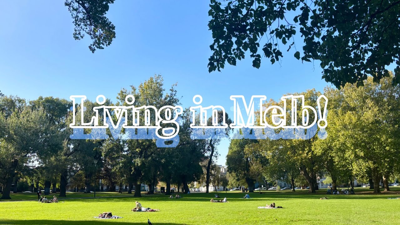 🐨 멜버른 Vlog / 인터뷰&트라이얼의 연속 / 콘보이 / 카페트라이얼 / 바리스타 트라이얼 / 워홀러일상