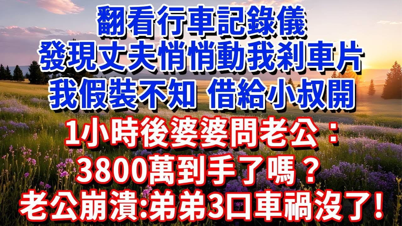 翻看行車記錄儀，發現丈夫悄悄動我剎車片，我假裝不知，借給小叔開， 1小時後婆婆問老公：3800萬到手了嗎？老公崩潰痛哭：弟弟一家3口車禍沒了！#小魚故事會#為人處世#人生感悟#中老年生活