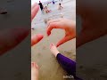 ترند شاكيرا شاكيرا 