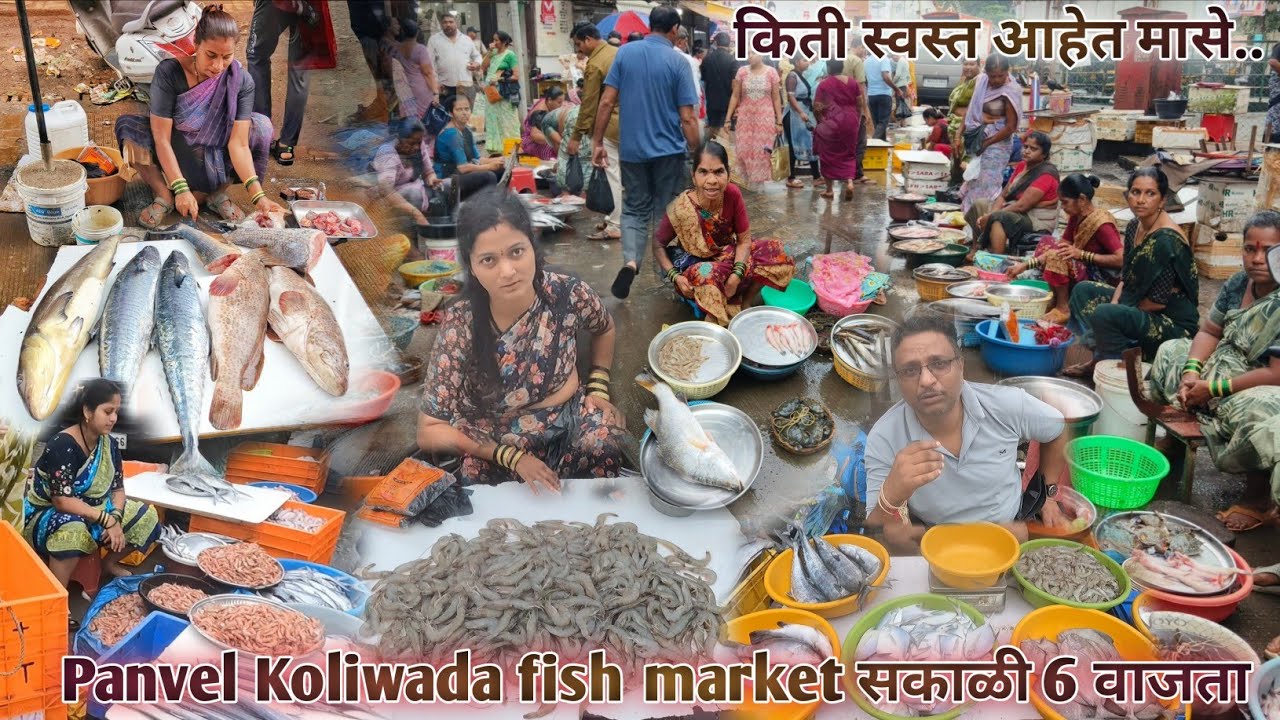 Panvel Koliwada🌅 wholesale fish market | खरंच खूप स्वस्त आहेत सकाळी मासली 😳