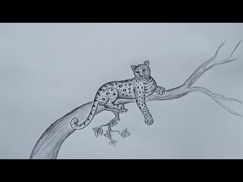 Video: Tiger In Pencil: How To Draw Beautifully