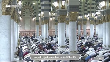سورة الإنسان لـ فضيلة الشيخ #صلاح_البدير صلاة المغرب ٢٨ جمادى الأولى ١٤٤٣ هـ