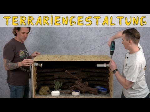 Video: Das Terrarium: Ein Grundlegender Leitfaden