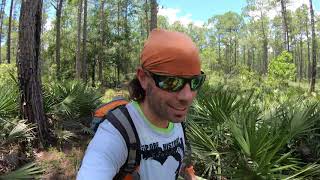 Hiking an Abandoned Railroad at Green Swamp Wildlife Management Area