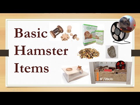 Basic Hamster Items - Hamster Care