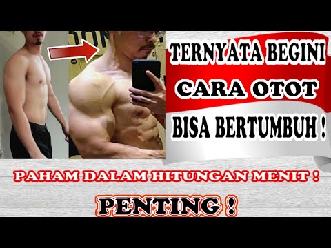 INI DIA PROSESNYA OTOT TUMBUH BESAR DAN KUAT!