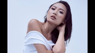 Is Li Jun Li Single? Net Worth