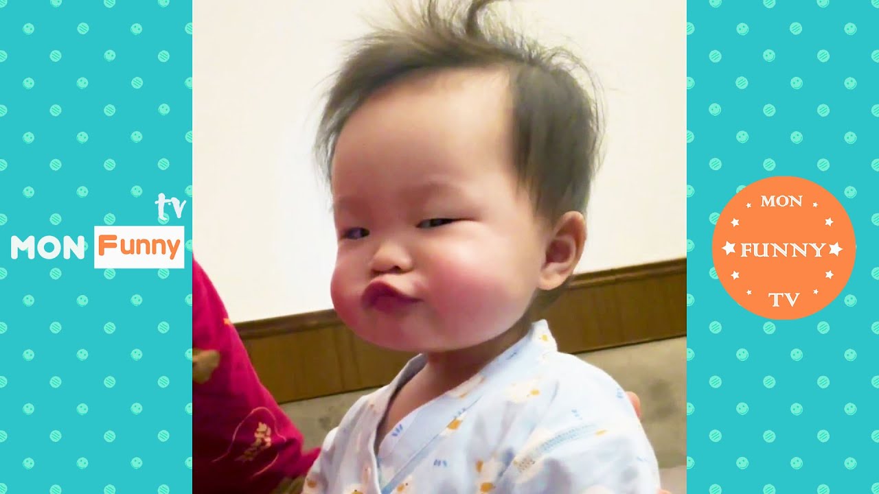 Comedy Shayari Class Zakir Khan Kapil Sharma Best Of The Kapil Sharma Show - YouTube Auto PHP Script