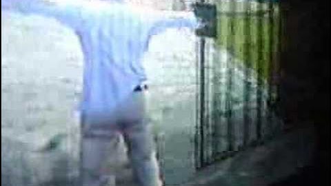 CANIS CANEM EDIT VASE GLITCH