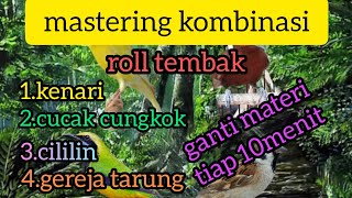 masteran lengkap!! kenari, cucak cungkok, cililin, gereja tarung