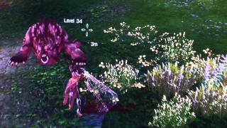 E3 2011: TERA: Combo System Interview w/ Producer Chris Hager:  Part 2 - OnRPG