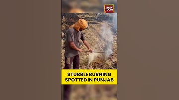 Stubble Burning Continues in Punjab Fields