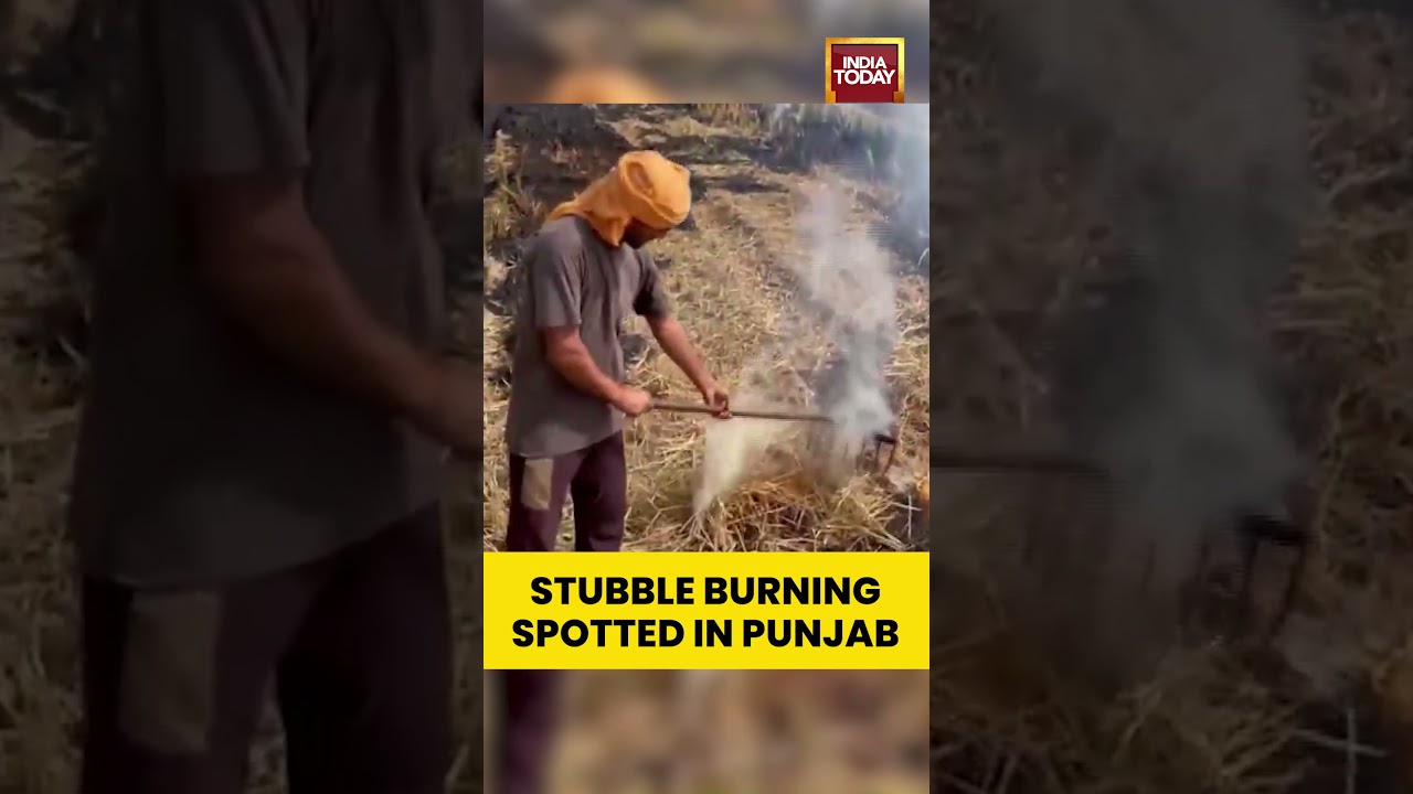 Stubble Burning Continues in Punjab Fields