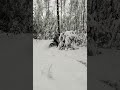 14 декабря 2022 г.
