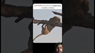 Brutal Clash Between Two Powerful Beasts!#greenscreen #trending #ytshorts #shorts #wildlife #animal