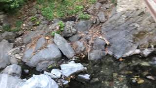 Hasan Boğuldu Göleti Piknik Alanı