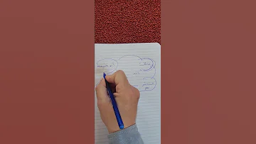هل الامام مالك أعلم أم أبو حنيفة 