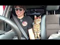 すねる