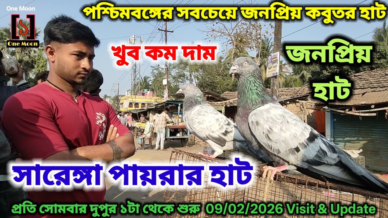 পশ্চিমবঙ্গের সবচেয়ে জনপ্রিয় কবুতর হাট | Cheapest Pet Market In Kolkata | @OneMoon1 