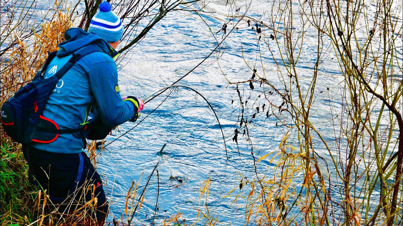 ZACZEP czy RYBA?! TROĆ WĘDROWNA UCIEKA 🐾