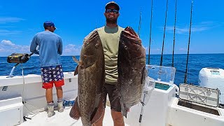 THIS FISH IS WORTH HUNDREDS OF DOLLARS!! (Commerical Grouper Fishing) |Gag Grouper|