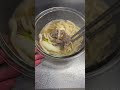 腹立って取り乱しました。#限界社会人 #自炊 #貧乏 #貧乏飯 #うどん #レンジ