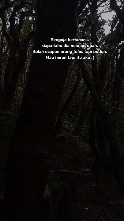 'sengaja bertahan... ' lagu  Airmata Di Hari Persandinganmu - Lestari, story WA keren