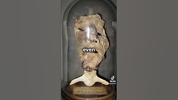 Ed gein and some of the truth behind his twisted and heinous crimes. #truecrime #edgein #truemurder