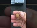 Carp fluoro carbone #carpfishing #carpiste #boilies