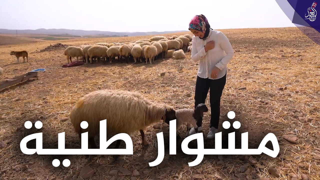 Шайма посещает деревню #Тания и узнает об обычаях ее добрых людей ❤🙏 #Путешествие