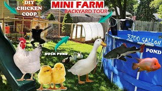 BACKYARD Mini FARM ANIMAL TOUR!