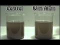 Understanding Water Turbidity and Flocculation