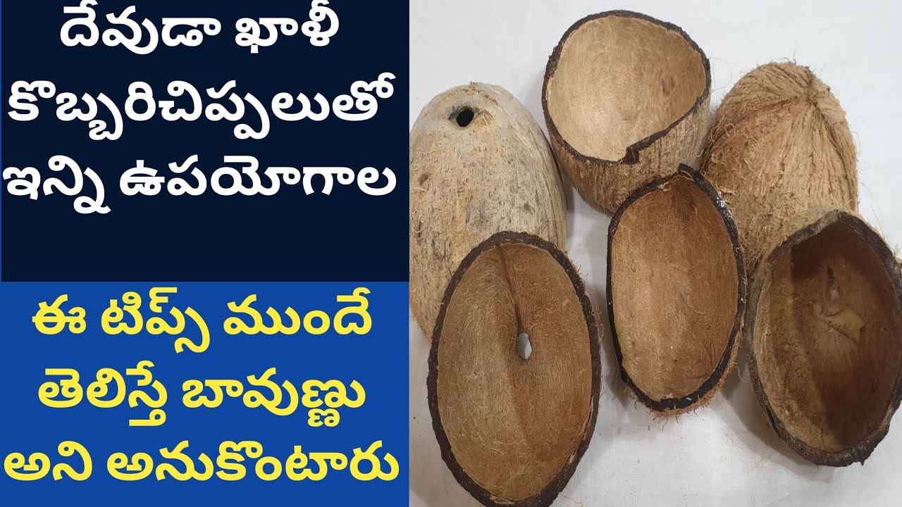 Most Useful Kitchen Tips In Telugu Coconut Shell Reuse Ideas most-useful-kitchen-tips-in-telugu-coconut-shell-reuse-ideas