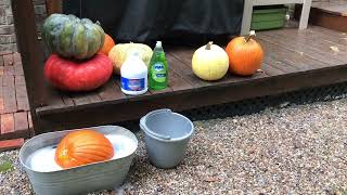 How to Make Pumpkins Last