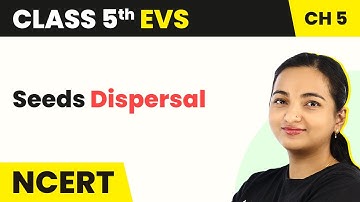 Class 5 EVS Chapter 5 | Seeds Dispersal - Seeds and Seeds