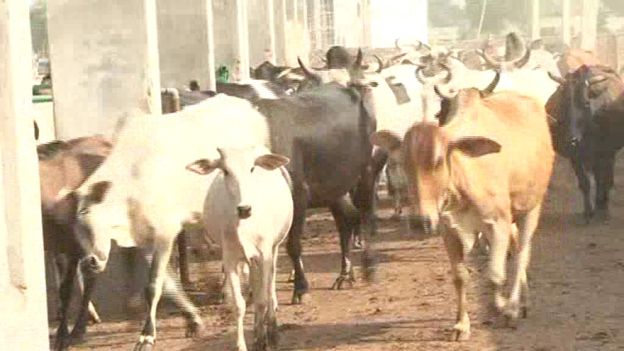 Sant mahesh muni ji gaushalla bhagtA