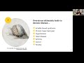 Hypnotherapy Training - Reducing the Stress Response with Hypnosis part I
